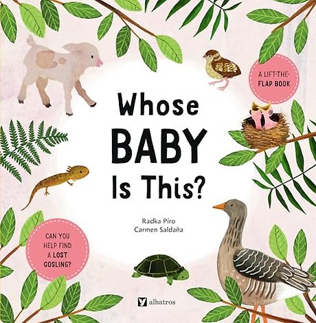 Whose Baby Is This?