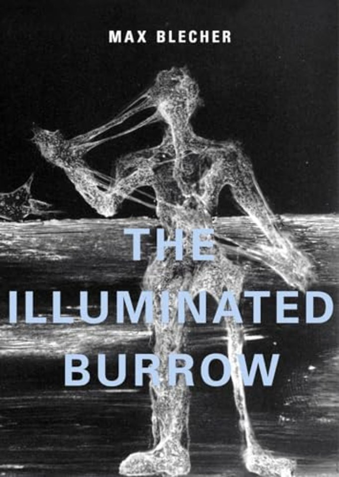 The Illuminated Burrow