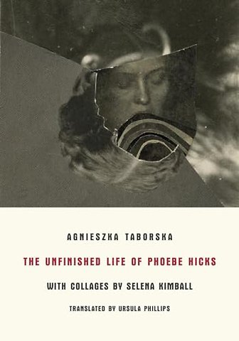 The Unfinished Life of Phoebe Hicks