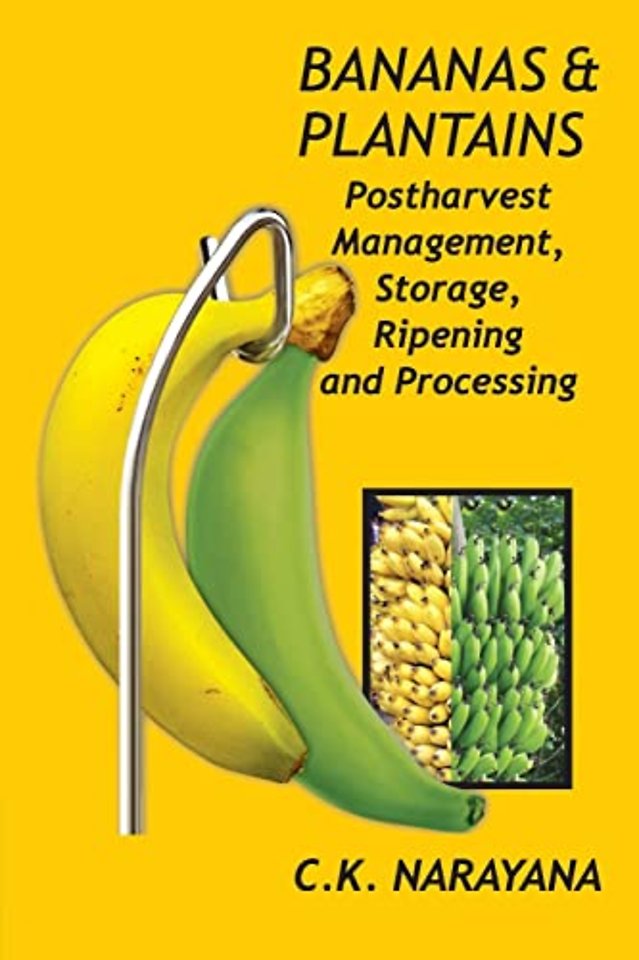 Bananas and Plantains – Postharvest Management, Storage, Ripening and Processing