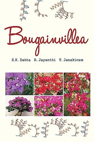 Bougainvillea