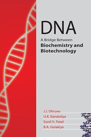 DNA – A Bridge Between Biochemistry and Biotechnology