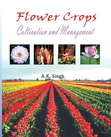 Flower Crops – Cultivation and Management