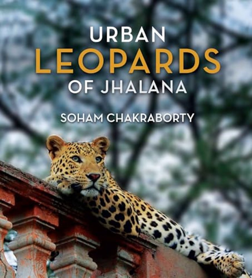 Urban Leopards of Jhalana