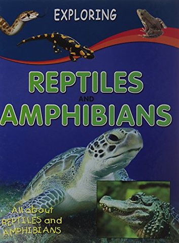 Reptiles & Amphibians