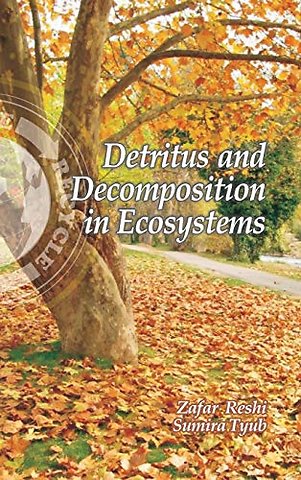 Detritus and Decomposition in Ecosystems
