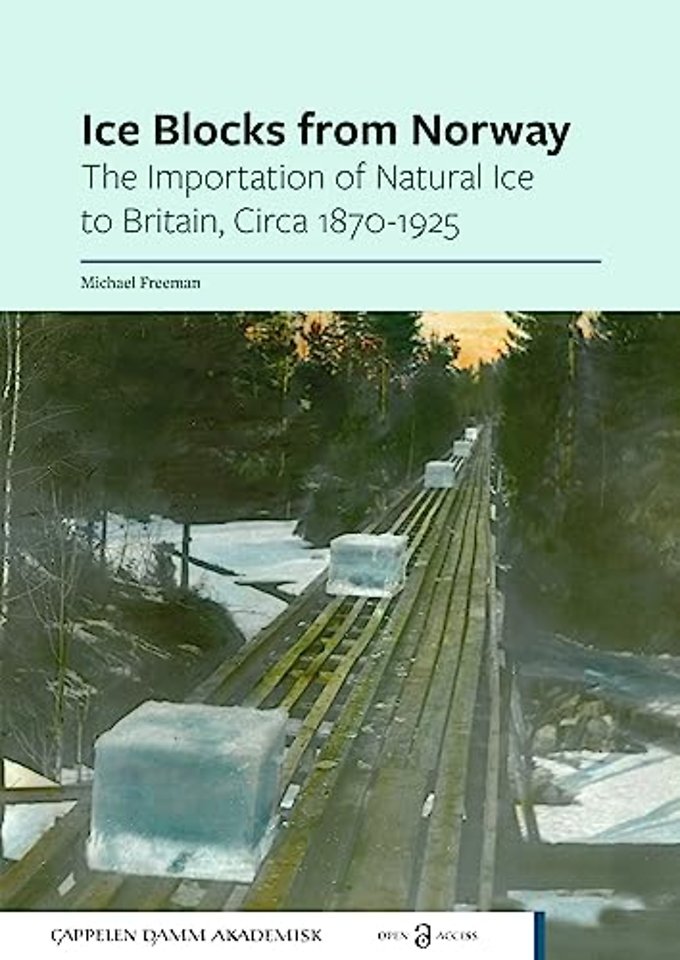 Ice Blocks from Norway