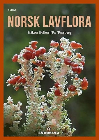 Norsk lavflora