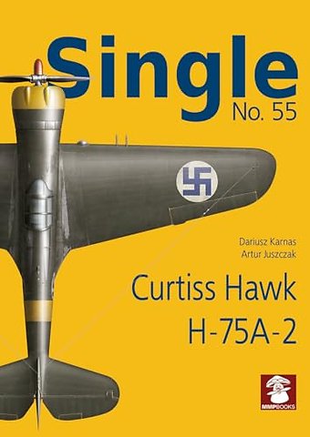 Single no. 54 Curtiss Hawk H-75A-2