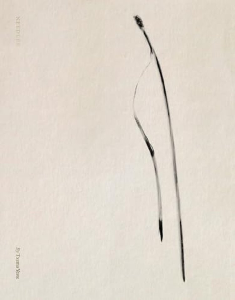 Txema Yeste: Needles