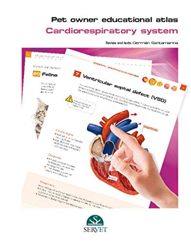 Pet Owner Educational Atlas. Cardiorespiratory System