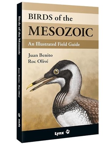 Birds of the Mesozoic