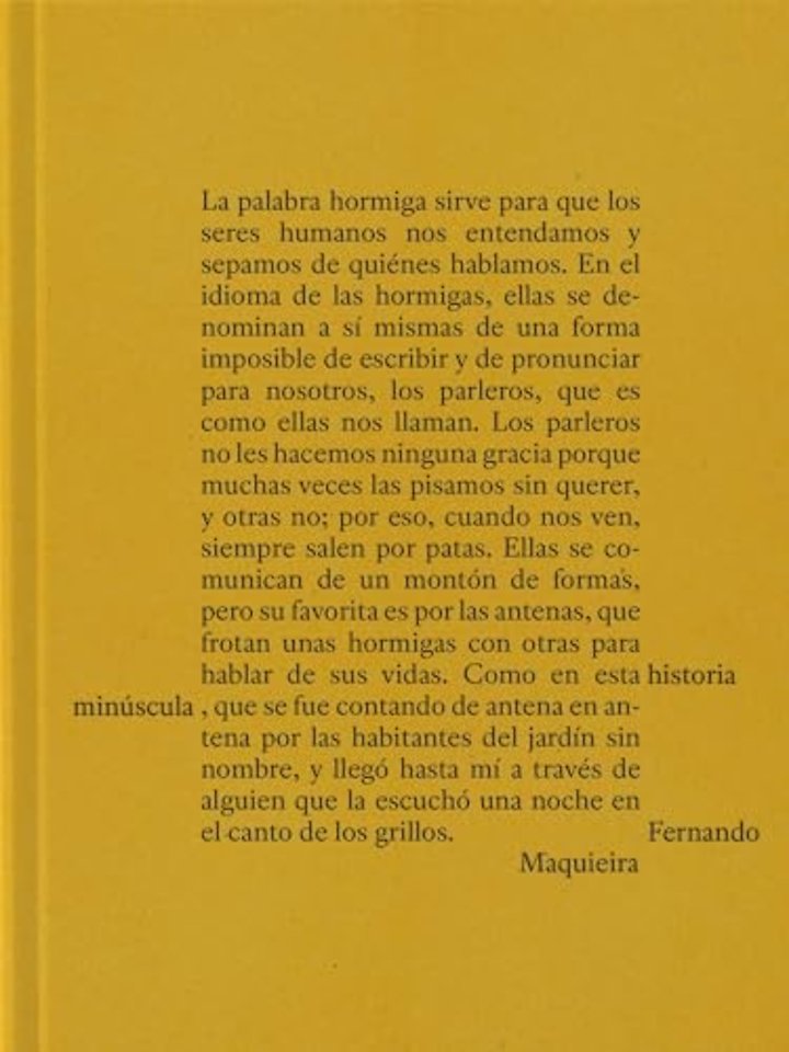 Fernando Maquieira: A Tiny Story