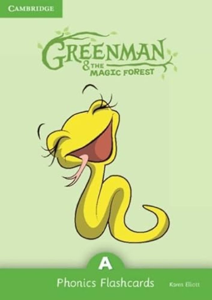 Greenman and the Magic Forest A Phonics Flashcards (Pack of 38)