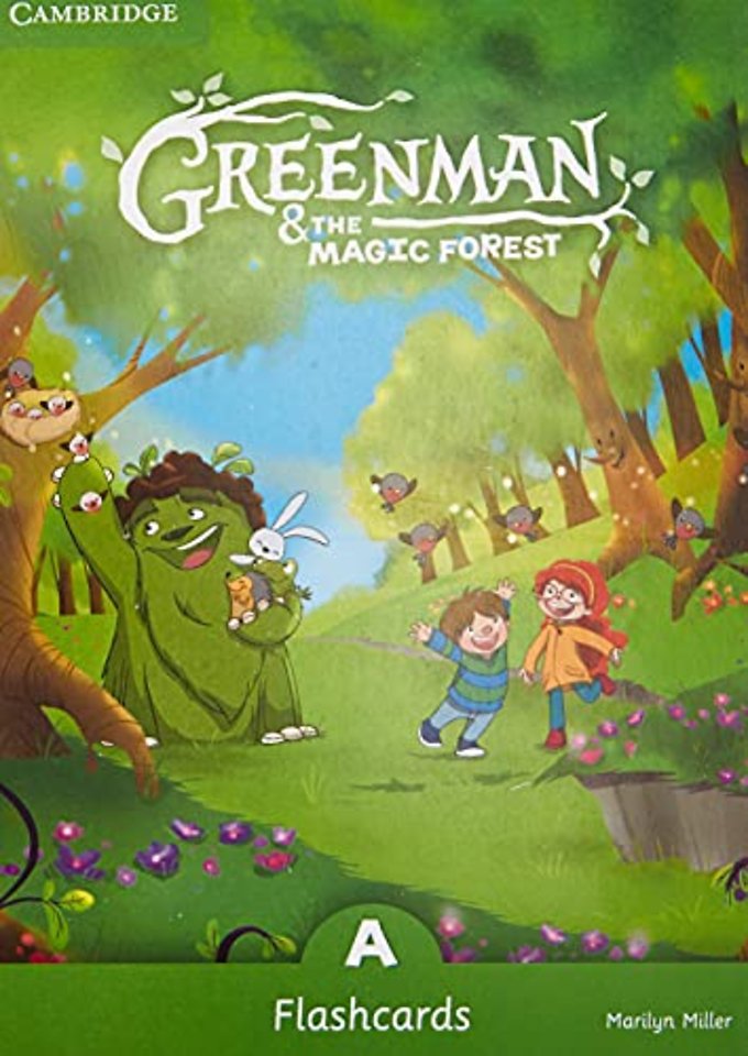 Greenman and the Magic Forest A Flashcards (Pack of 48)
