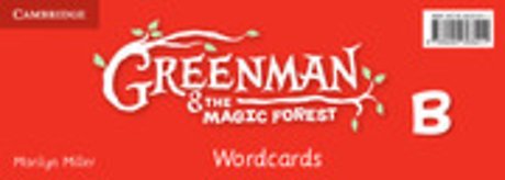 Greenman and the Magic Forest B Wordcards (Pack of 48)