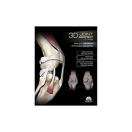 3D Joint Anatomy in Dogs. Main joint pathologies and surgical approaches