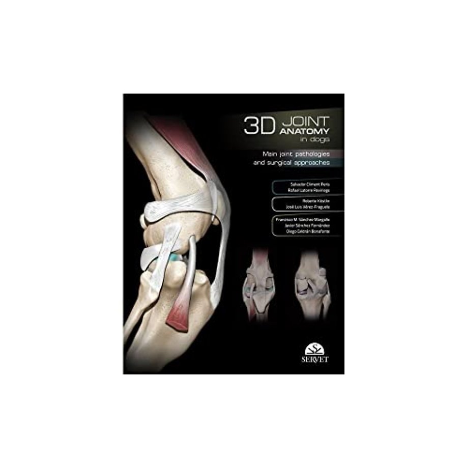 3D Joint Anatomy in Dogs. Main joint pathologies and surgical approaches