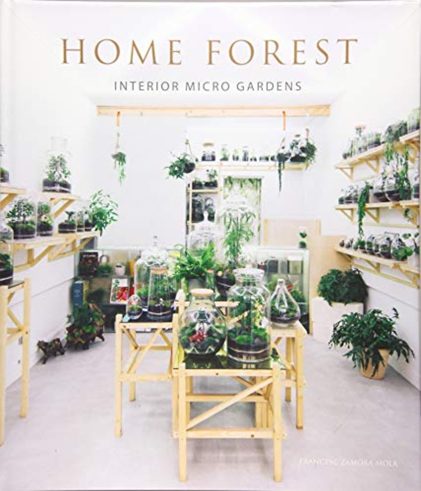 Home Forest