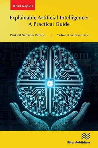 Explainable Artificial Intelligence: A Practical Guide