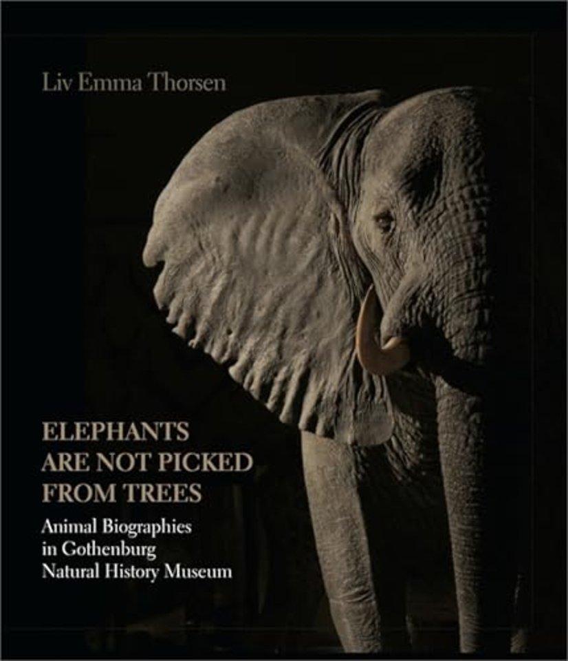 Elephants Are Not Picked From Trees – Animal Biographies in Gothenburg Natural History Museum