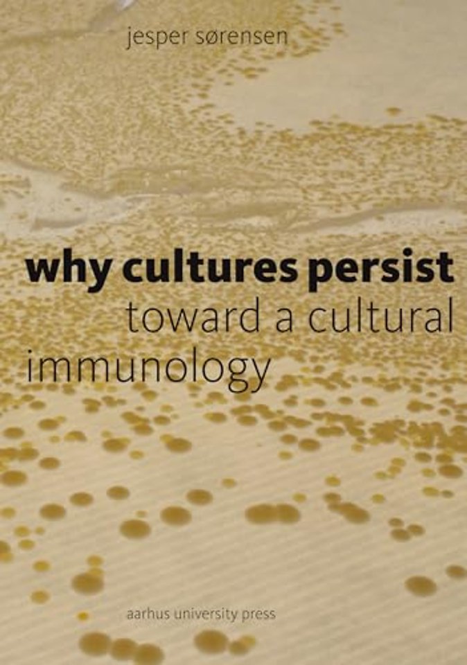 Why Cultures Persist – Toward a Cultural Immunology