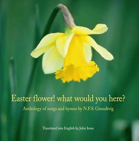 Easter Flower! What Would You Here?