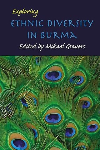 Exploring Ethnic Diversity in Burma