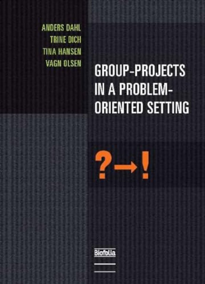 Group-Projects in a Problem-Oriented Setting