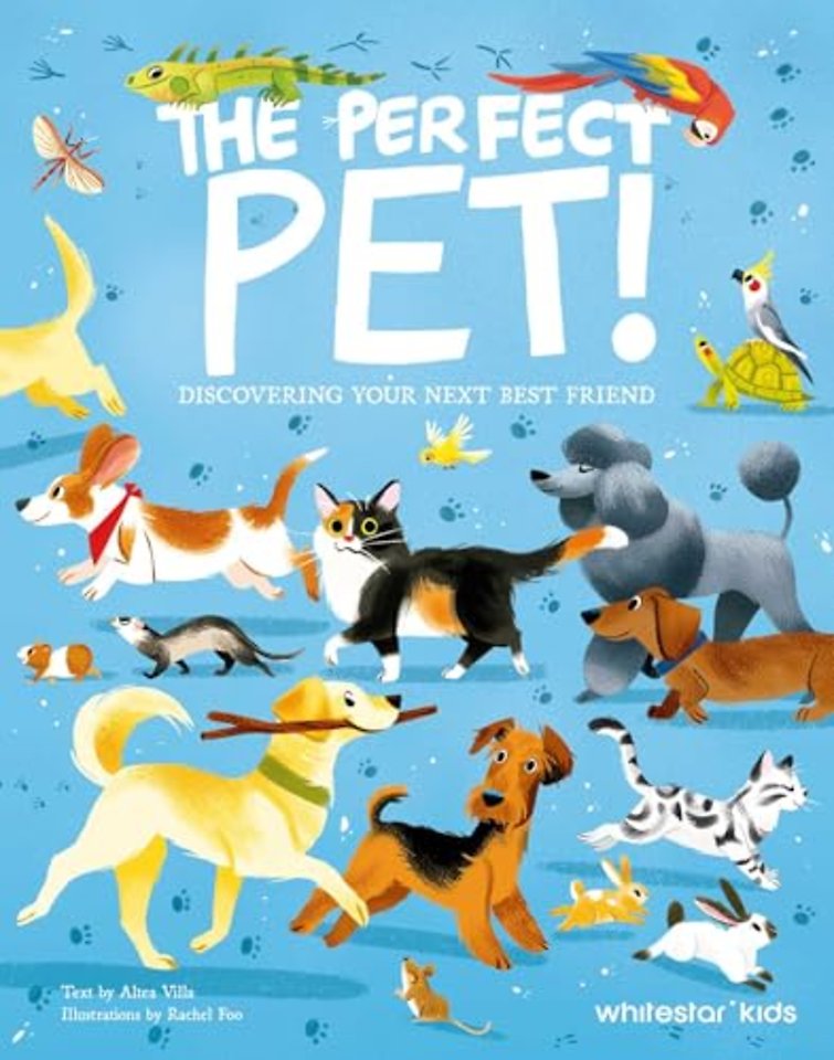 The Perfect Pet!