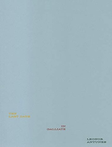 Leonor Antunes: The Last Days in Galliate