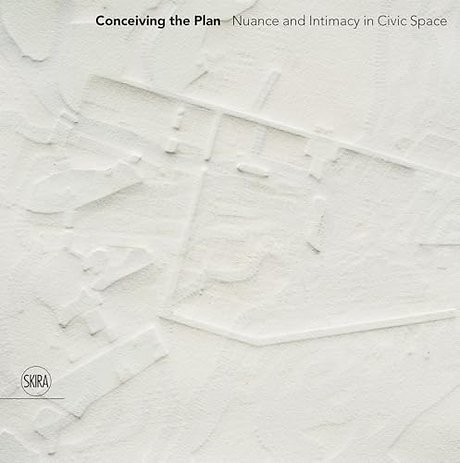 Conceiving the Plan