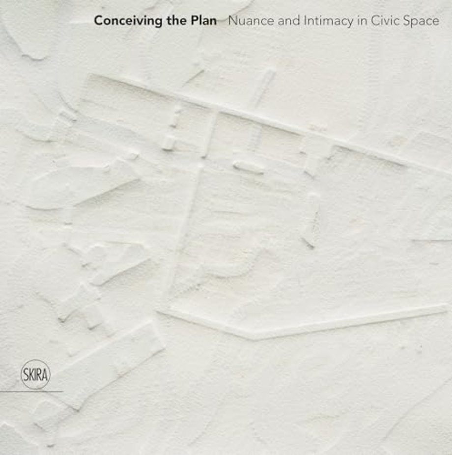 Conceiving the Plan