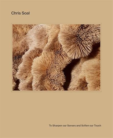 Chris Soal