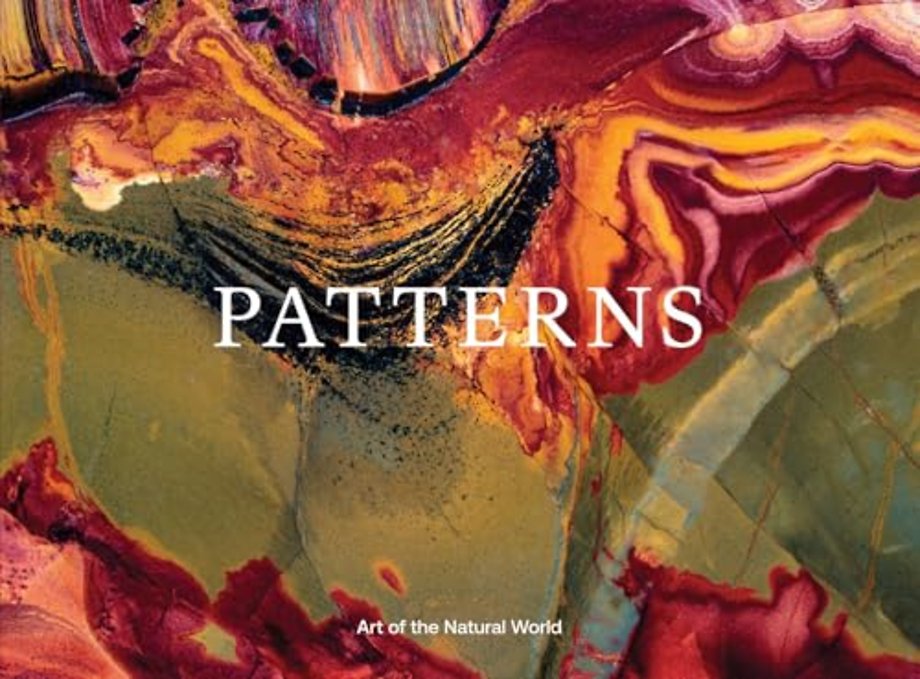 Jon McCormack: Patterns. Art of the Natural World