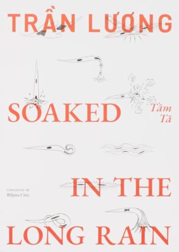 Tran Luong: Soaked in the Long Rain