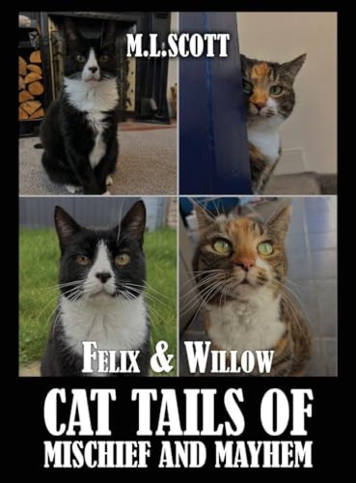 Felix & Willow cat tails of mischief and mayhem