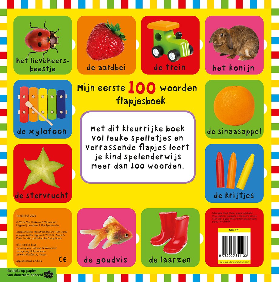 Mijn eerste 100 woorden flapjesboek