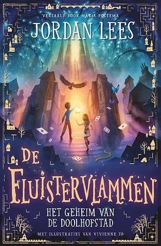Het geheim van de doolhofstad