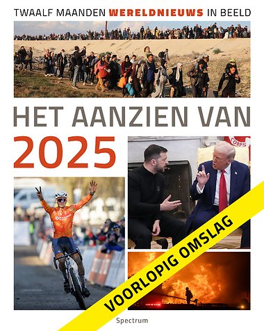 Het aanzien van 2025