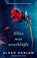 Alles wat overblijft