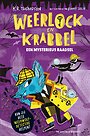Een mysterieus raadsel
