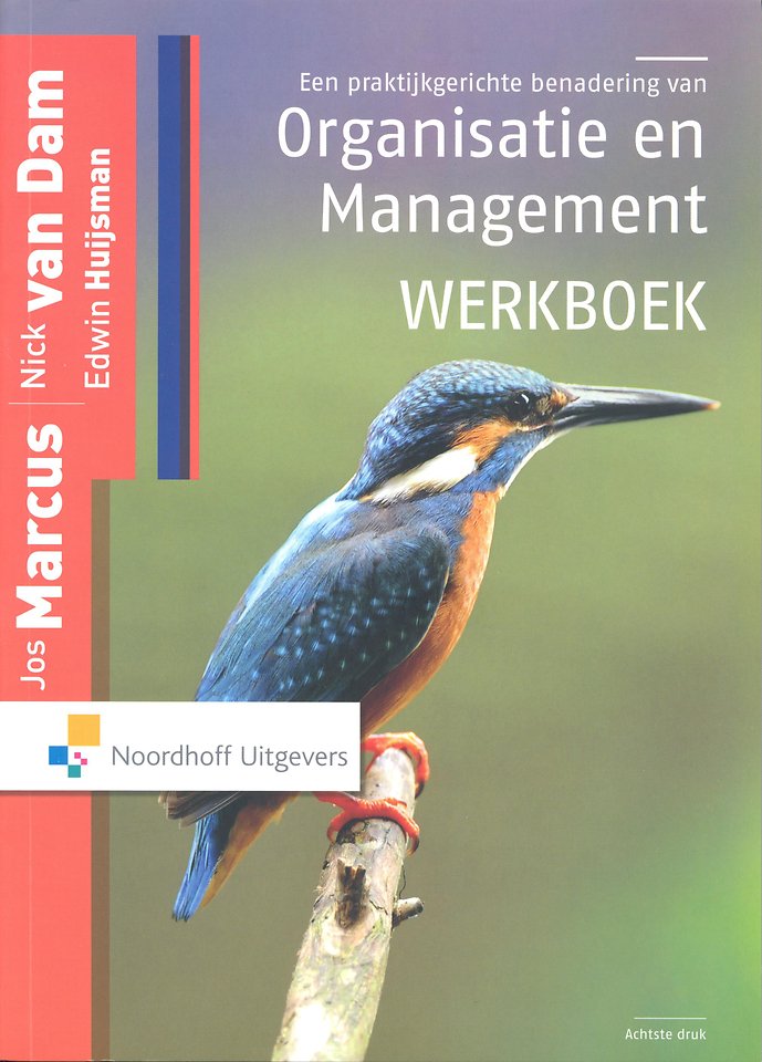 Een praktijkgerichte benadering van Organisatie en Management - Werkboek