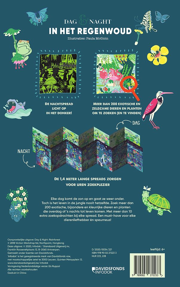 Dag & nacht: in het regenwoud