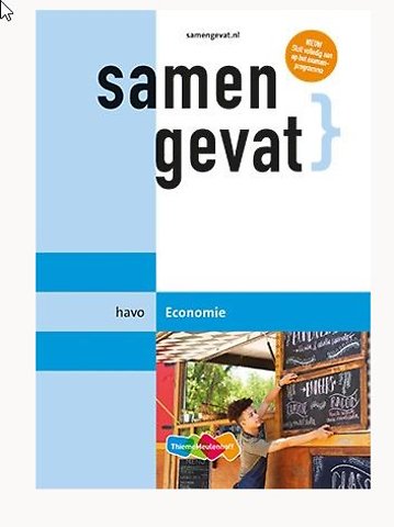 Samengevat havo Economie