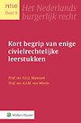 Kort begrip van enige civielrechtelijke leerstukken Kort begrip van enige civielrechtelijke leerstukken