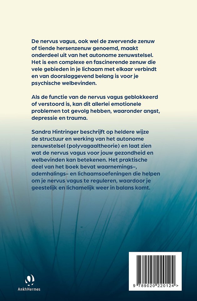 De nervus vagus, onze innerlijke therapeut