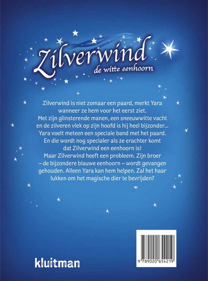 De spiegel van de tovenaar