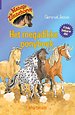 Het megadikke ponyboek