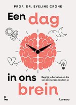 Een dag in ons brein